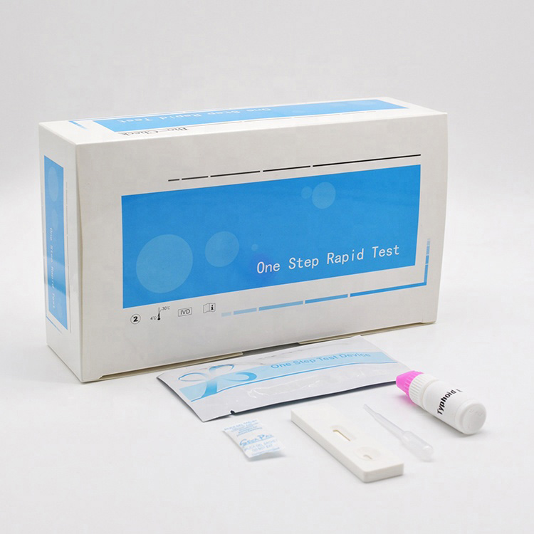 Disponibel medicinsk Salmonella Tyfus Antigen Rapid Test Kit Kassett